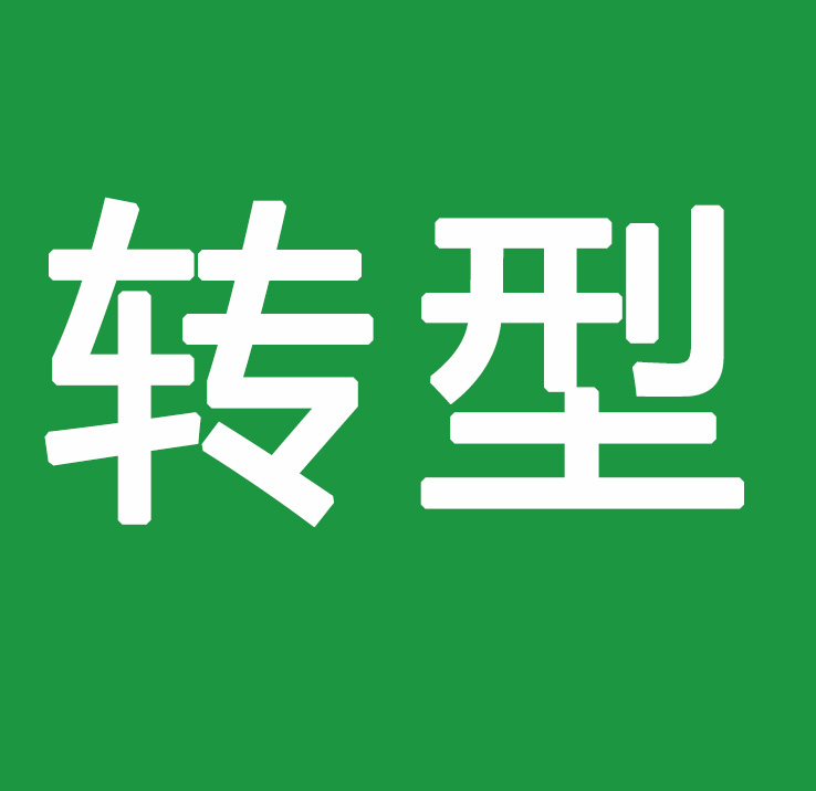 华为的数字化转型与数据治理